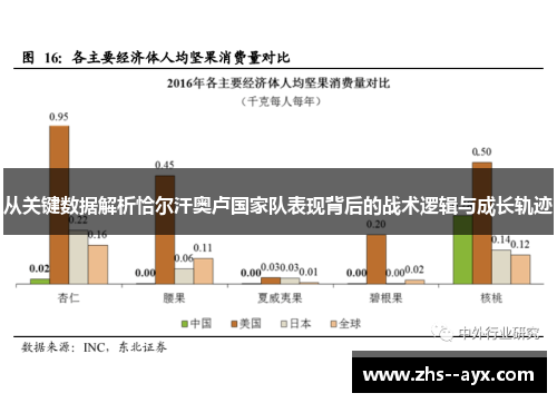 从关键数据解析恰尔汗奥卢国家队表现背后的战术逻辑与成长轨迹